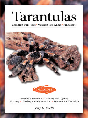 cover image of Tarantulas